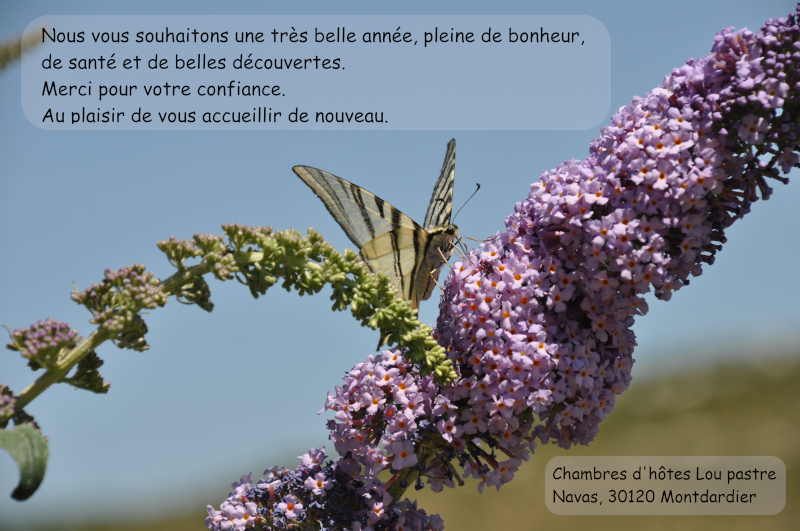 Nous vous souhaitons une très belle année 2026